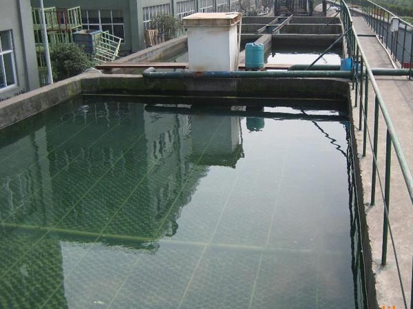 印染草莓污视频下载、工艺
